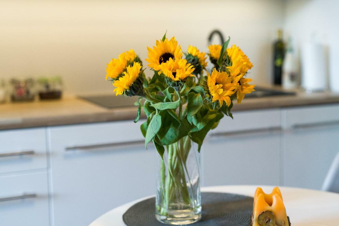 Sunflower Apartment Cracovia Esterno foto